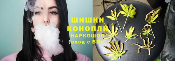 стафф Мегион