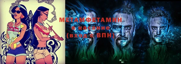 трава Медвежьегорск
