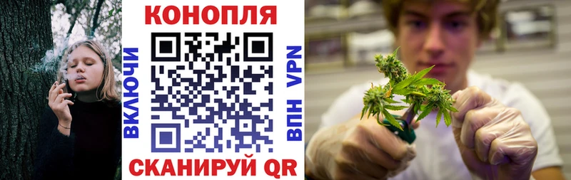 купить наркотики цена  Дмитриев  Каннабис SATIVA & INDICA 